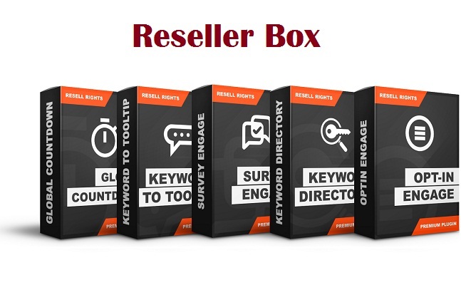 Reseller Box Review