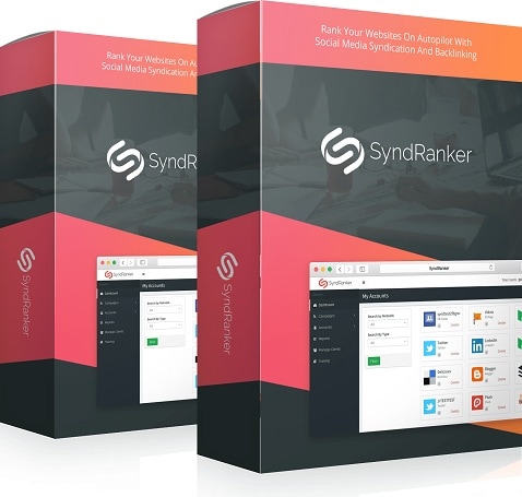SyndRanker Review